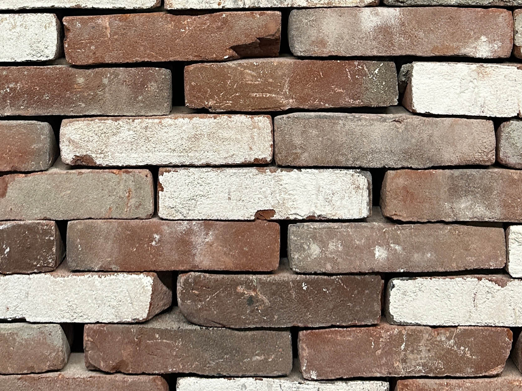 Heerhugowaard Rood Paars Vb Wf Mix