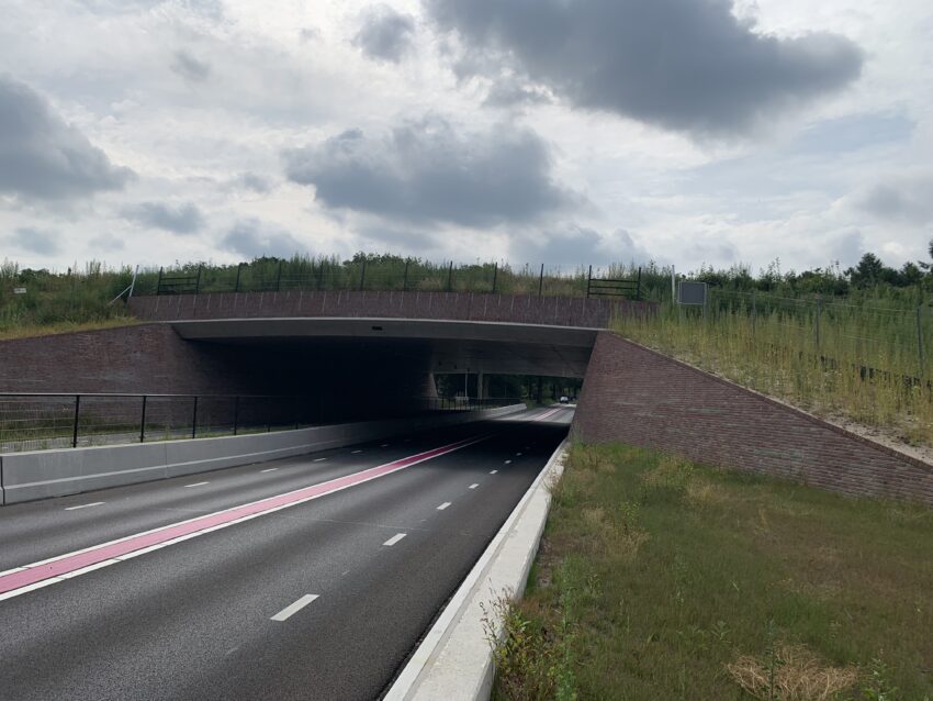 Ecoduct gemaakt van circulaire gevelstenen